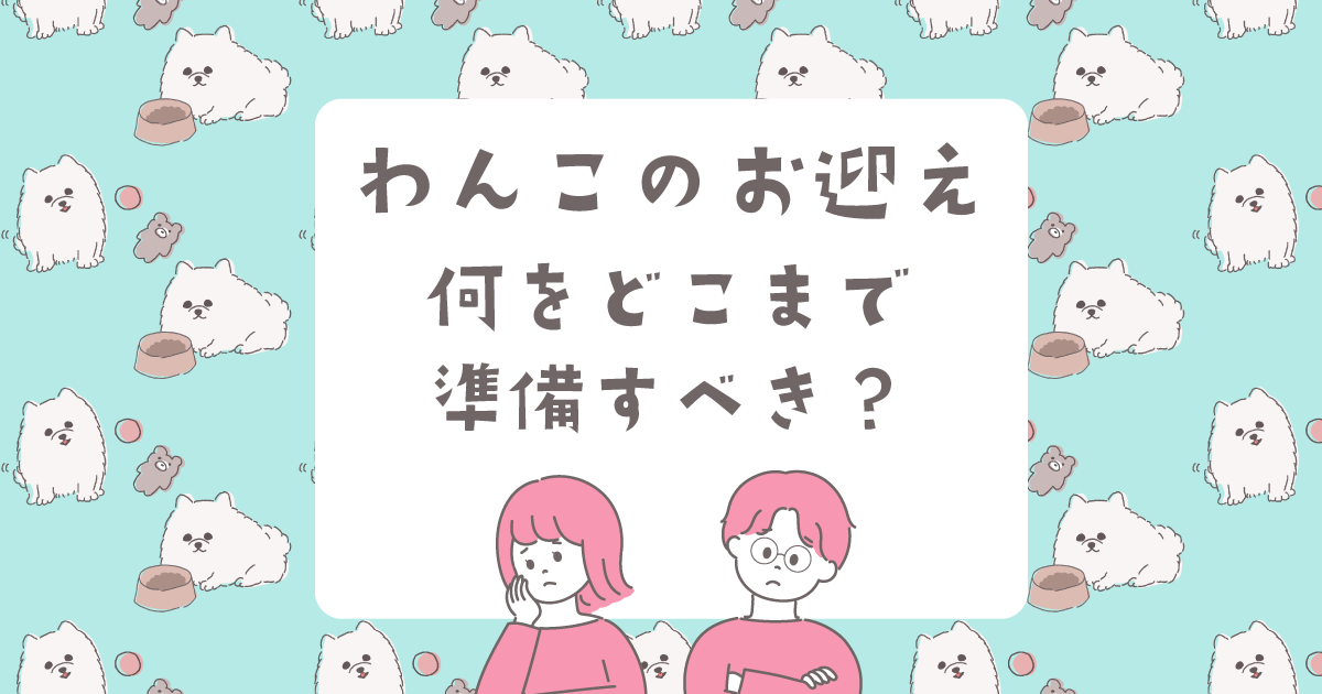 わんこのお迎えに必要なものを実際の体験から優先度順に解説。